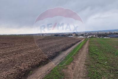 Teren 10,000mp Bacau / Strada Alexandru Safran - 6