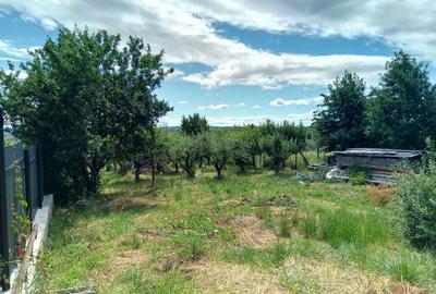 Spațiu comercial, în Filioara - 6