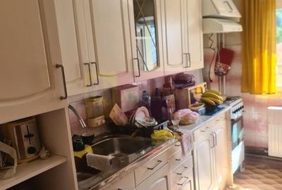 Apartament cu 3 camere de vanzare in Sinaia - 9