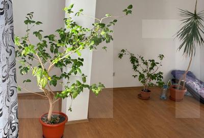 Studio 34 mp utili + balcon 4 mp, etaj 3/3, zona Salaj – de vanzare - 4