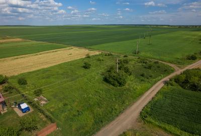 FRUMUSANI - POSTAVARI, TEREN 1500 MP, FRONT 30 M ! - 13