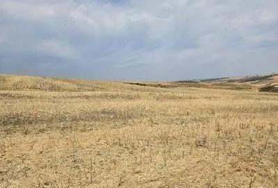 Teren Negureni, cota parte 1/8, ID: R2695094 - 9