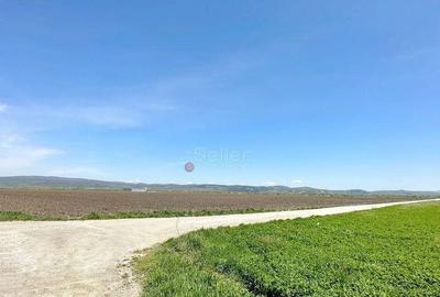 Teren Industrial - 2