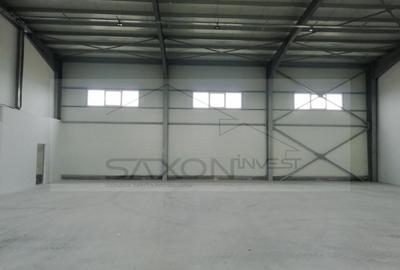 Hala depozitare sau productie   Drumul intre Tarlale,  600MP - 9