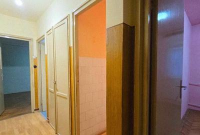 Ap 3 cam tip T de vanzare str Razboieni - 8