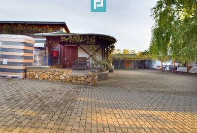 Casă individuală cu 6 camere cu Canalizare în Miniș - 24