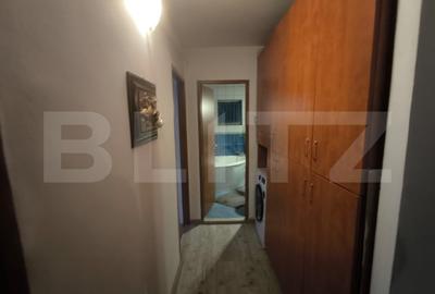 Apartament cu 4 camere decomandat, mobilat în Brazda lui Novac - 10