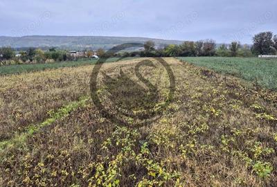 Teren de 3084 mp, în Plavia - 1