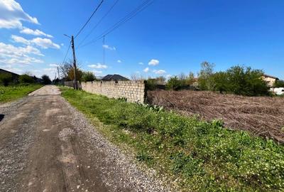 Islaz - Branesti - teren 1374mp - canalizare - gaze - curent - asfalt - 5