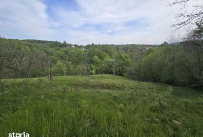 Teren de 3000 mp, în Albești - 1