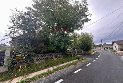 GOSPODARIE VECHE cu 30 arii TEREN- SE VINDE - 7