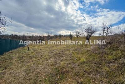Teren în Călugareni - 1