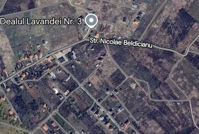 Spațiu comercial, în Săldăbagiu de Munte