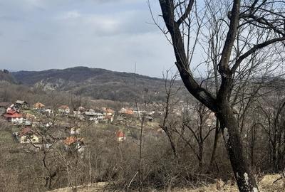 Teren de 4830 mp, în Godeni - 5