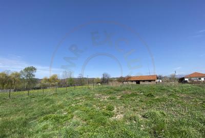 Teren intravilan cu grajduri si anexe Aninoasa AG - 1