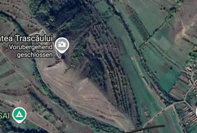Teren de 6000 mp, în Colțești - 3