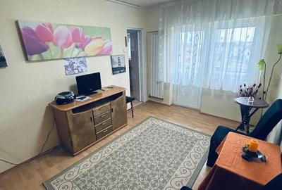 Garsonieră decomandată în Sub Arini - 1