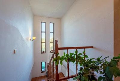 Casă cu Teren 1006 Mp în Săftica - 3