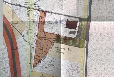 Teren Construcții intravilan de 31000 mp, în Lugojului - 2