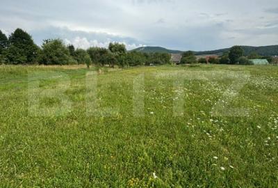 Teren de 3900 mp, în Unirea