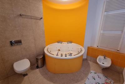 Vila superba de inchiriat ultracentral Brasov - 53