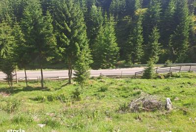 Teren de 1000 mp, în Măguri