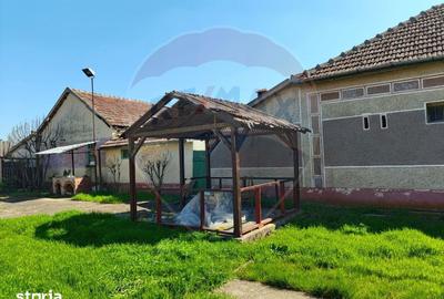 Casă cu 3 camere cu Teren 2175 Mp în Vinga - 18