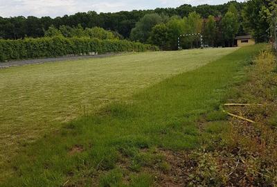 Teren intravilan 2.100 mp acces lac și utilități, Siliștea Snagovului - 4