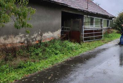 Casă cu 3 camere în Vârfurile - 8