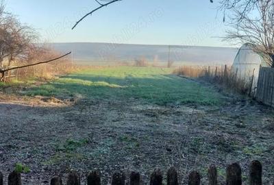 Casă în Vulpeni - 1