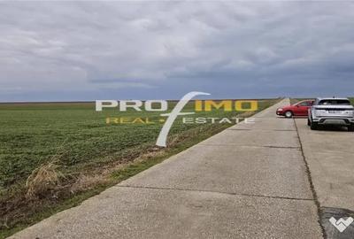 Teren de 4200 mp, în Corbu - 3