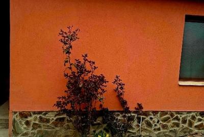 Casă individuală cu 4 camere cu Teren 1200 Mp în Vladimirescu - 1