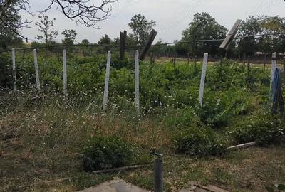 Casă cu 3 camere cu Teren 3200 Mp în Băleni - 1