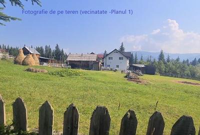 Teren de 6450 mp, în Neagra - 2