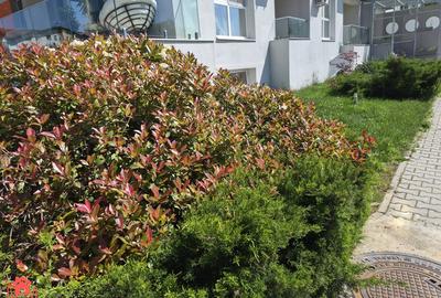 Apartament cu 2 camere semidecomandat, mobilat în Sisești - 30
