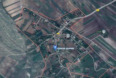 Casă cu 2 camere cu Teren 2361 Mp în Costinești - 14