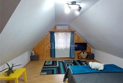 Casa superba de in Fantanele - 11