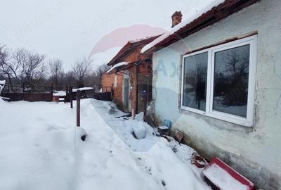Casă cu 5 camere cu Teren 7531 Mp în Sacu - 9