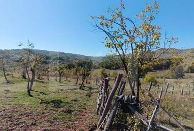 Teren extravilan cu priveli?te superba , livada ?i poten? - 15