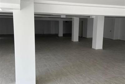 Spatiu Comercial Zona Galata Soseaua Voinesti in Complex Rezidential - 8