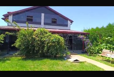Casa Saftica - 12