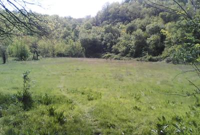 Inchiriez la Centura București 5000m - 1