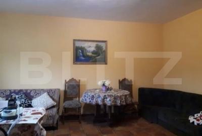 Casa cu piscina P+M, 458 mp teren, Leamna de Sus - 4