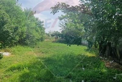 Vanzare Teren 1,300mp Balotesti / Strada Tarina Veche/Rezidential - 2