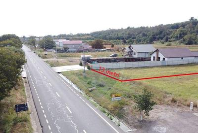 Teren Comuna Bolotesti - 4