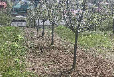 Casă cu 2 camere cu Teren 2500 Mp în Bogați - 6