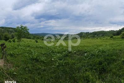 Spațiu comercial, în Podiș - 3