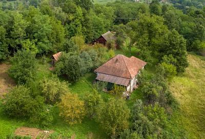 Casă individuală cu 3 camere cu Teren 9995 Mp în Ormindea - 35