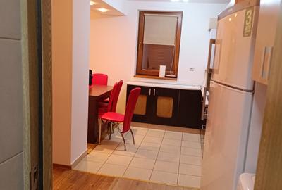 Apartament cu 2 camere semidecomandat, mobilat în Nord - 10