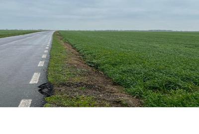 Teren extravilan-arabil,ud. Calarasi , com. Vasilati, - 1